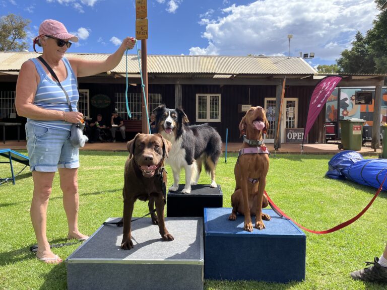 Agile Dogs dog agility competition winners on podiums with owner, outdoor setting.