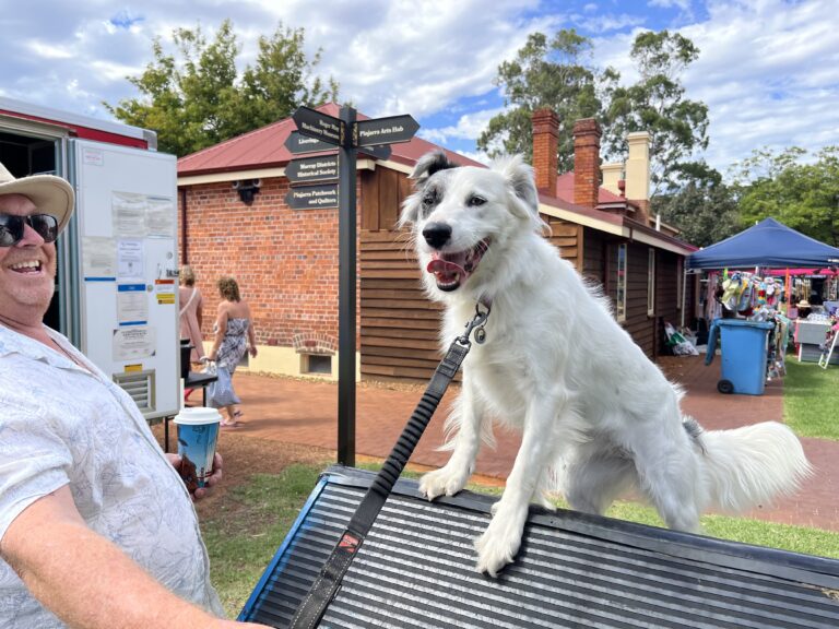 Dog on agility ramp during outdoor event at Gallery.