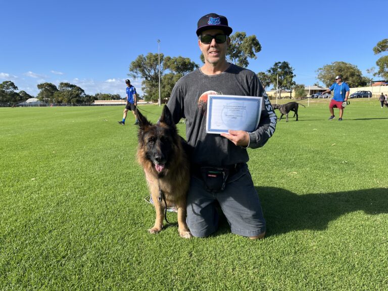 Happy dog trainer with certificate and Belgian Malinois at park.