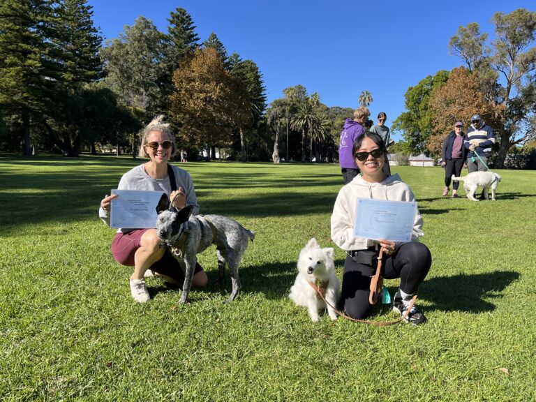 Happy dog owners with their dogs during Agile Dogs training in the park.