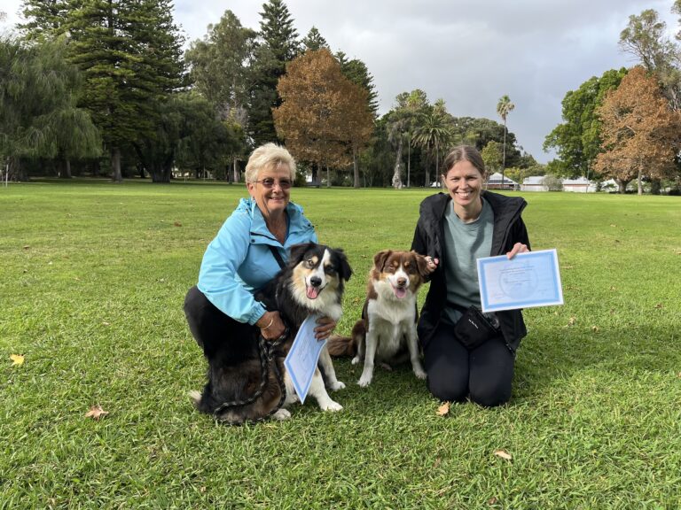 Happy women with two Australian Shepherds celebrating dog training success in park.