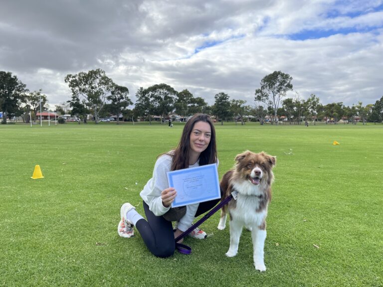 Woman with Australian Shepherd during dog training session in park.
