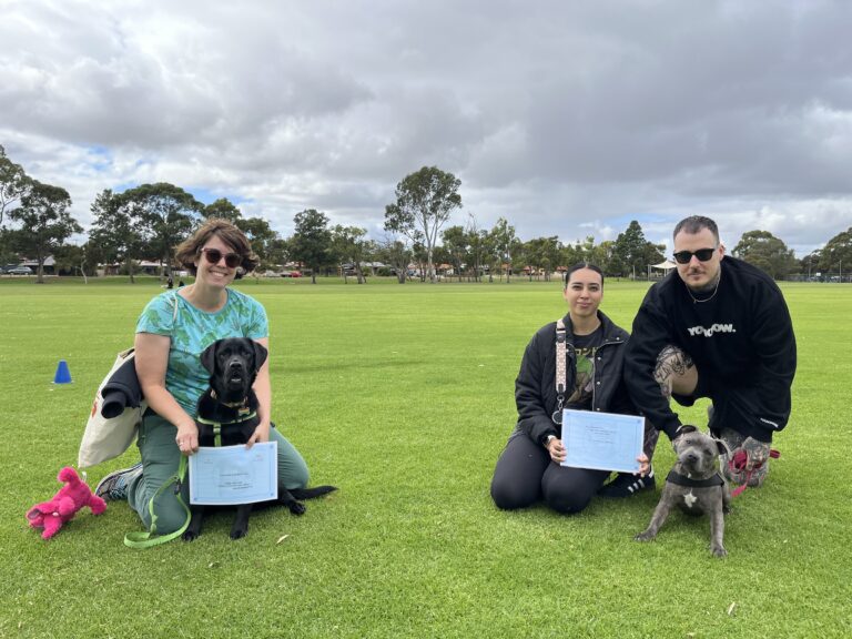 Group of people with dogs during Agile Dogs training session in park.