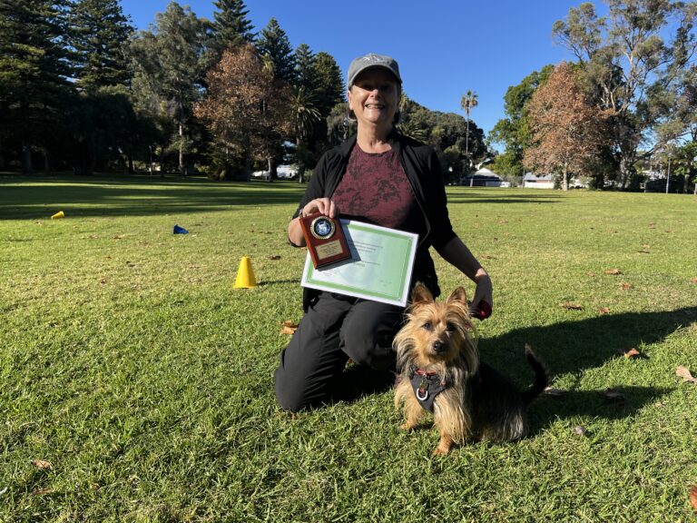 Dog training certification outdoor session with a woman and her dog at Agile Dogs.