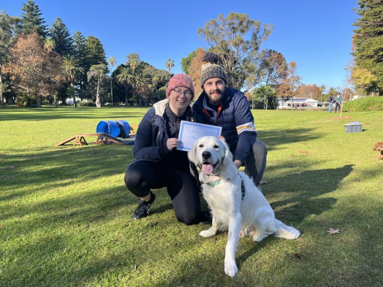 Happy dog owners with their certified service dog in a park setting.