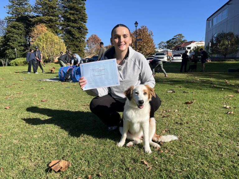 Woman with her dog during dog training certification event in a park.