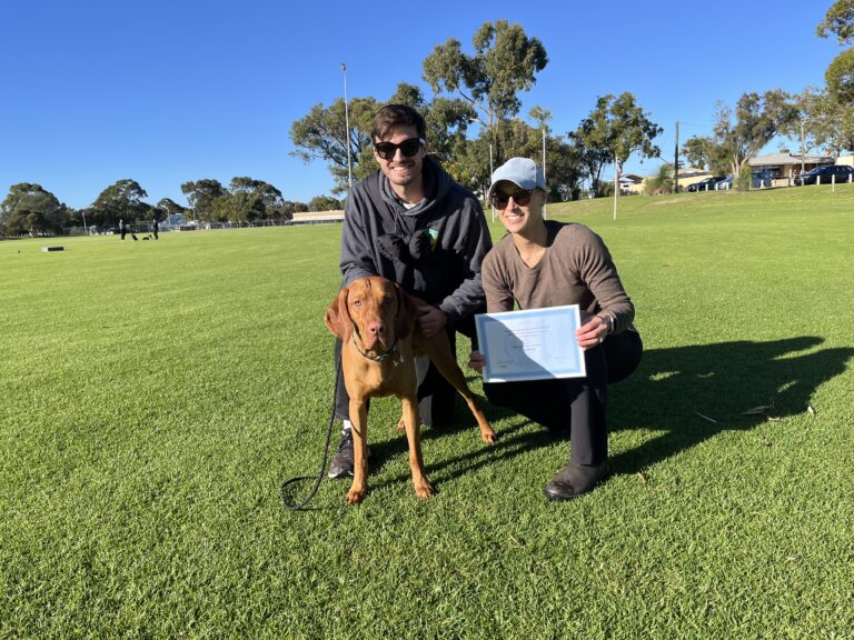Happy dog training session outdoors with Agile Dogs professionals.