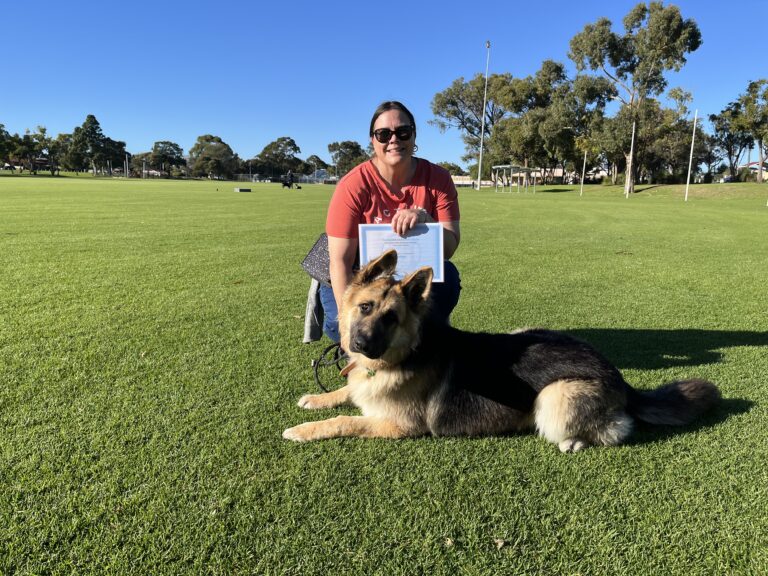 Dog training, agility, obedience, professional dog trainer, outdoor activity.