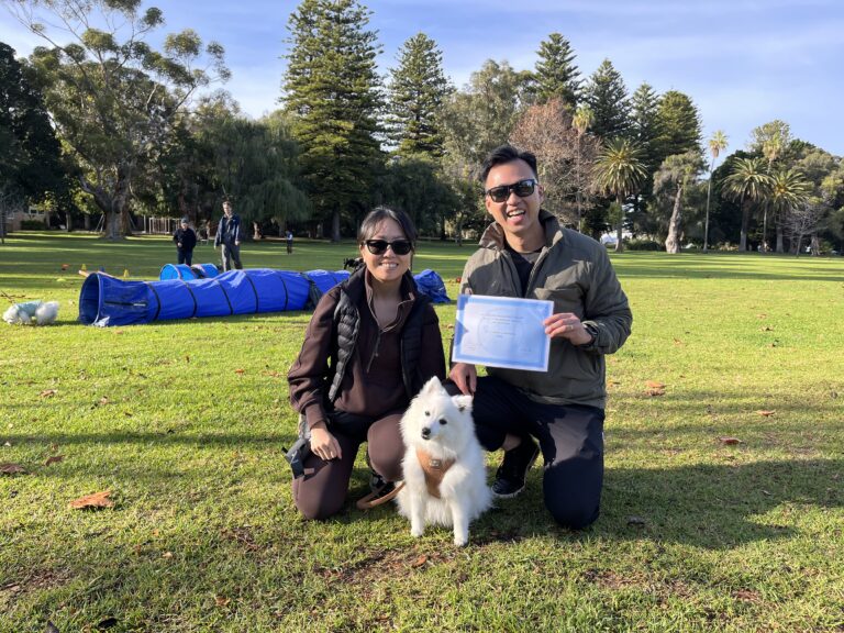 Happy dog training session outdoors with owners and a white dog.