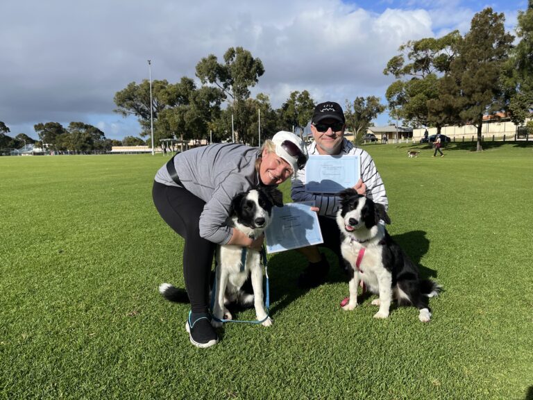 Two dogs and trainers at Agile Dogs training session in a park.