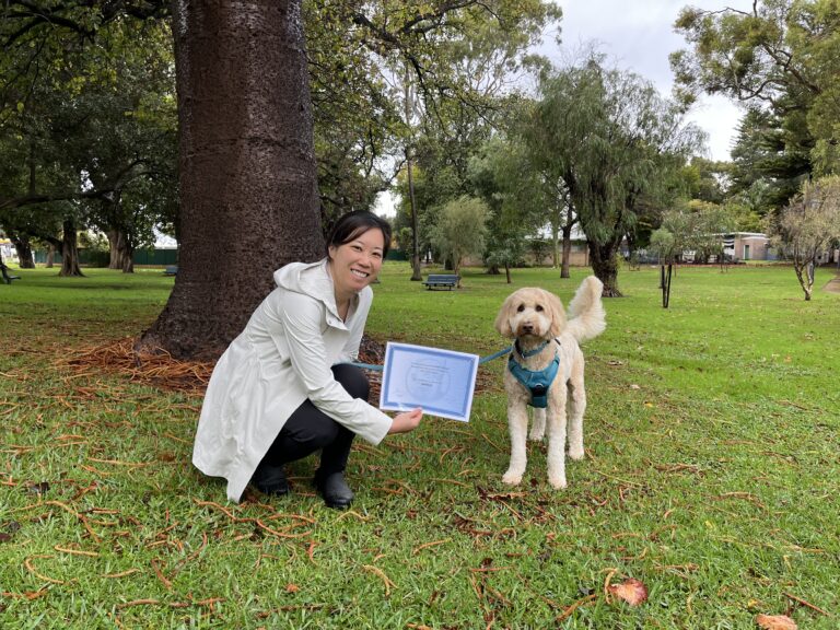 Woman training her dog outdoors in a park setting.