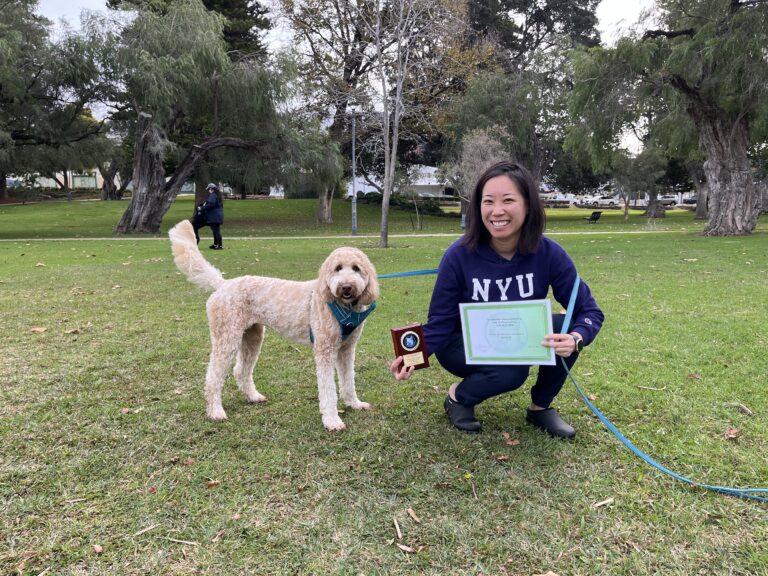 Dog training certification celebration at a park with a smiling woman and her well-behaved dog.