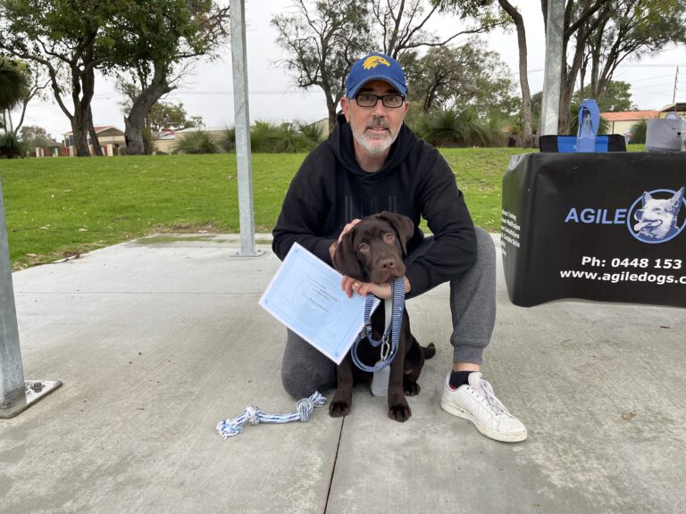 Man with a brown Labrador retriever at Agile Dogs training event outdoors.
