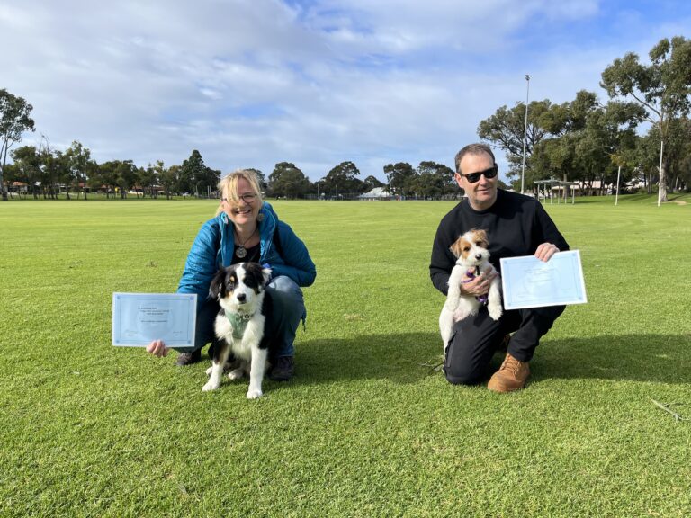 Happy dog trainers with their certified dogs on a grassy field.