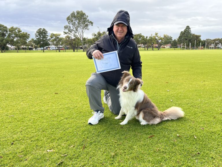Dog training certification with Agile Dogs in a park.