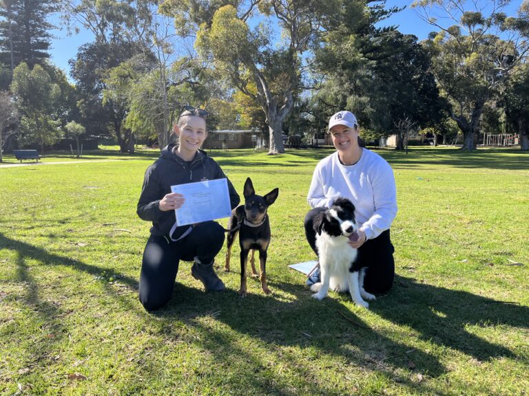 Two women with dogs during a training session in a sunny park.
