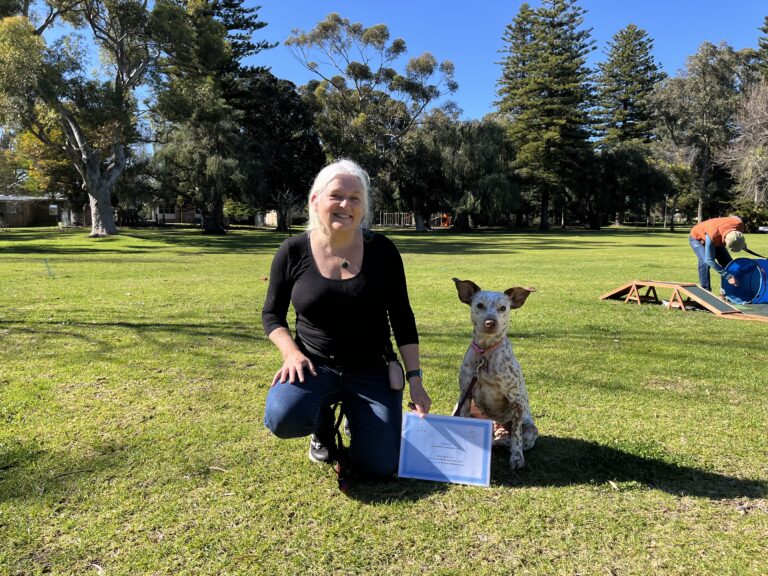 Woman kneeling with her dog during a training session in the park.