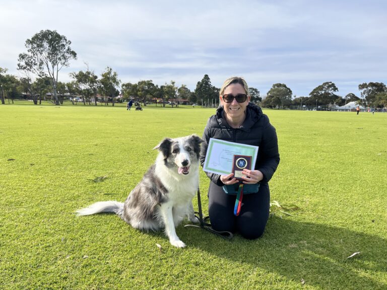 Woman with Australian Shepherd dog outdoors during training session.