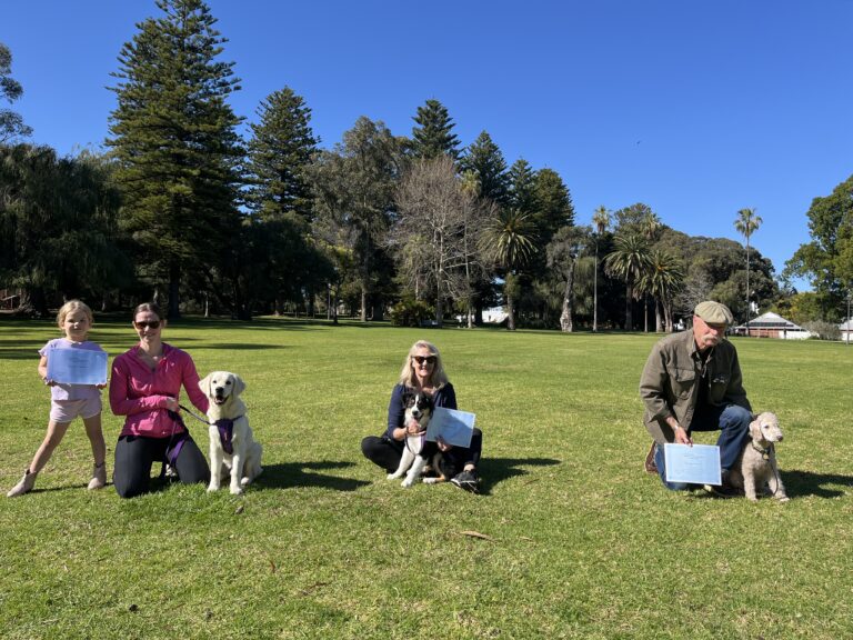 Group of dogs and owners participating in agility training outdoors.