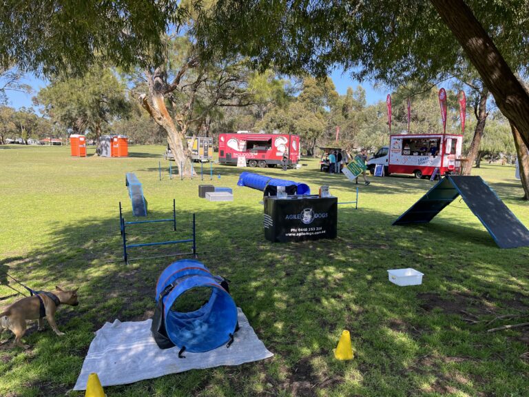 Outdoor agility training setup for dogs at Agile Dogs.