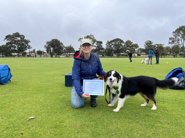 Woman with Border Collie during dog training session at Agile Dogs.
