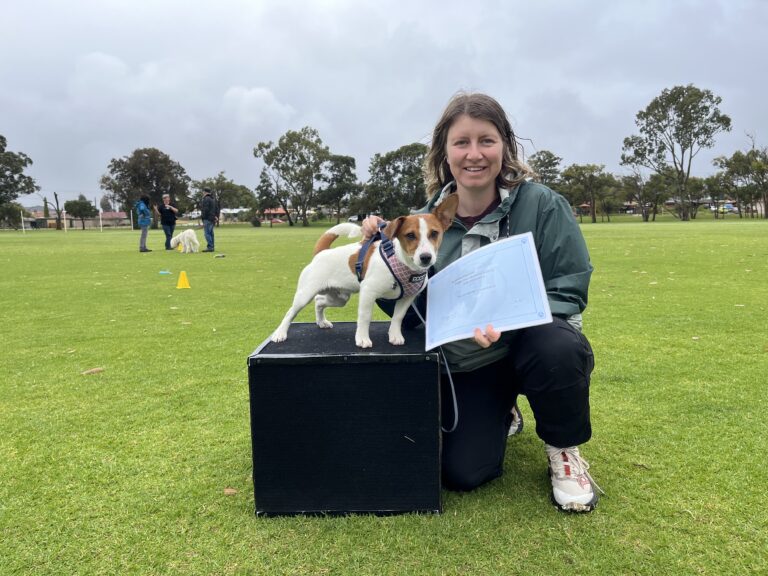Woman with dog on training platform during agility class in park.