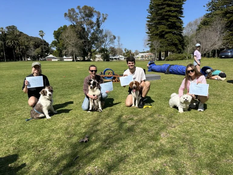 Dog agility training group photo at Agile Dogs, showcasing teamwork and training skills.