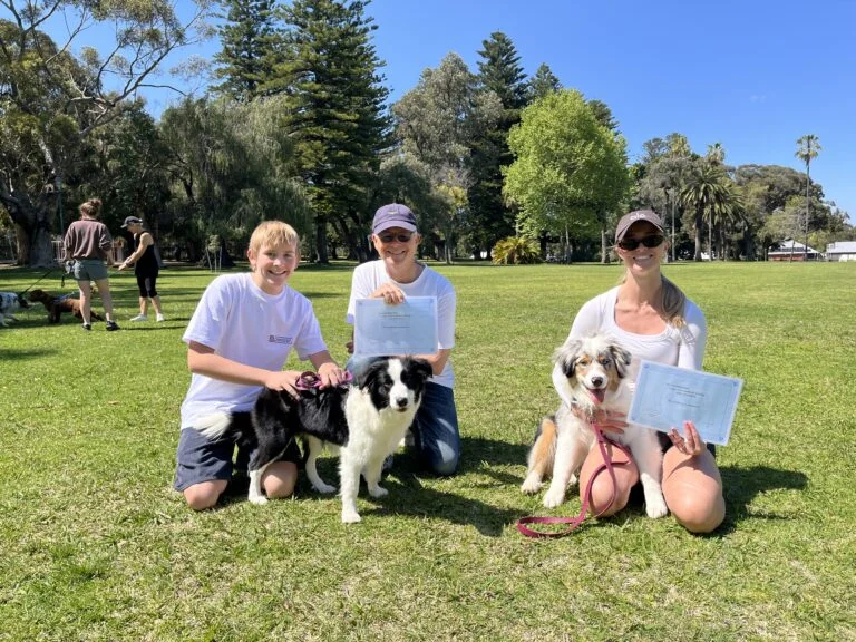 Happy dogs and owners at Agile Dogs training session in park.