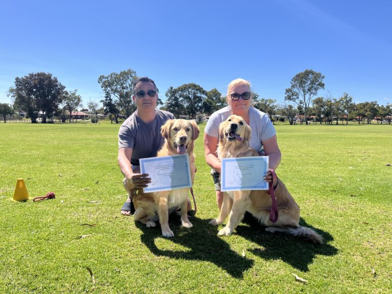Happy dog owners with certified dogs outdoors on a sunny day.