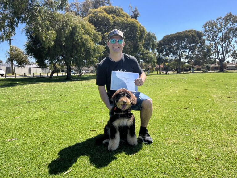 Training with a happy dog at Agile Dogs training center.