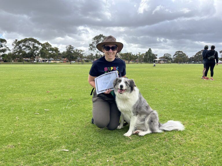 Woman training Australian Shepherd dog outdoors at Agile Dogs in a park.