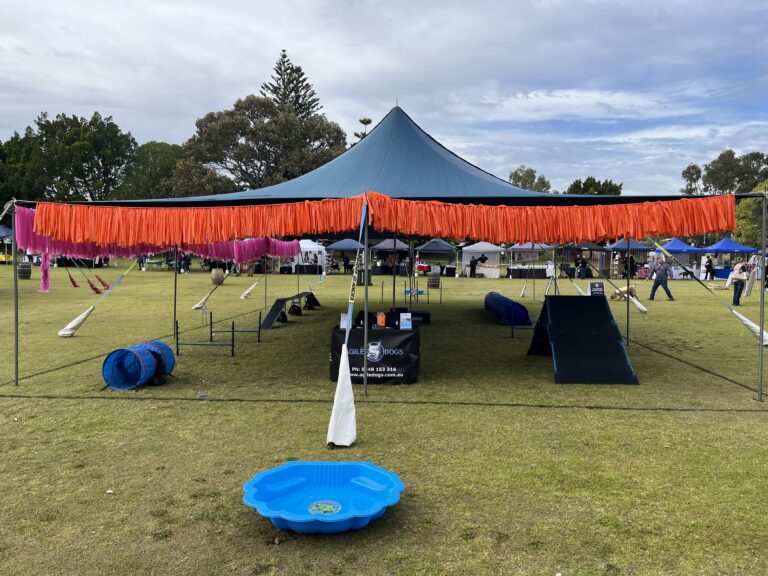Agile Dogs outdoor dog training area with agility equipment and tent.