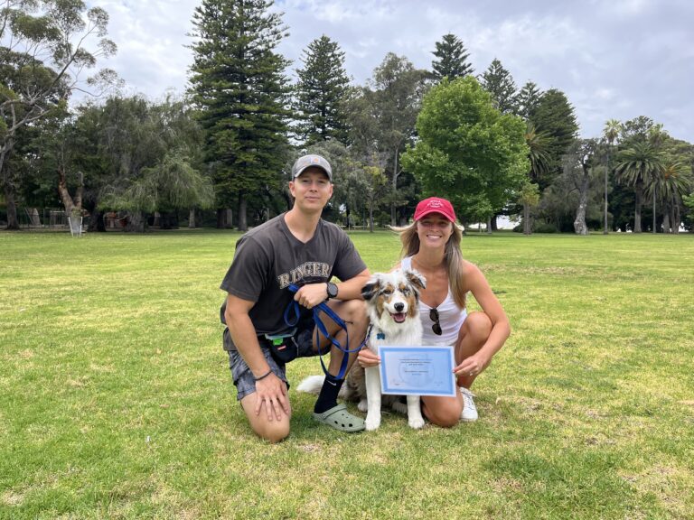 Happy dog owner with trainer and certificate in park, showcasing agility training success.