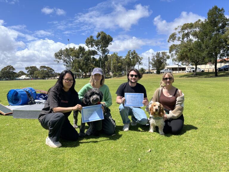 Dog training group with two dogs and three trainers outdoors in a park.