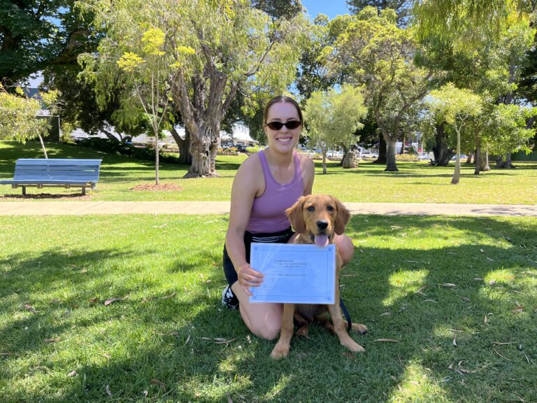 Woman with dog during agility training in park setting.