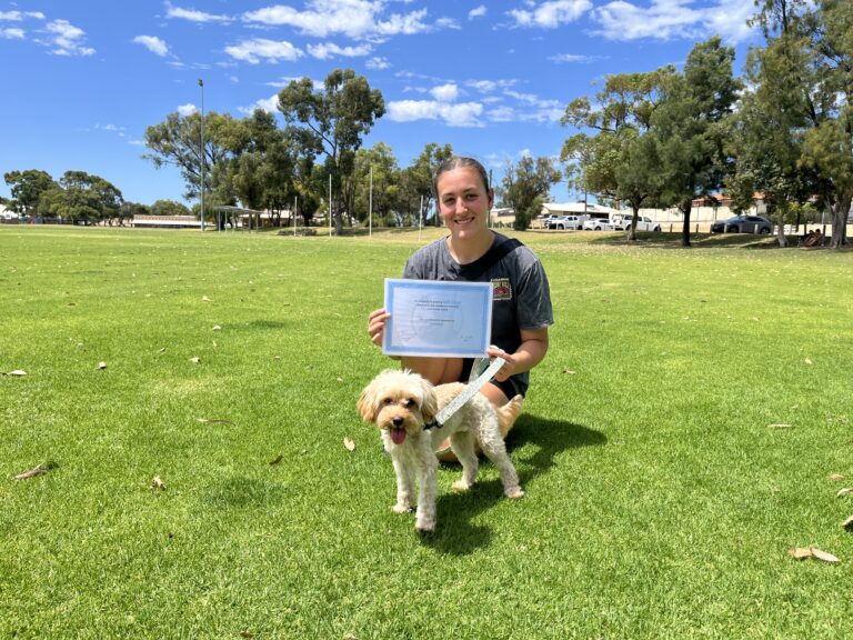 Dog training certification, agility training, dog obedience, outdoor training session.