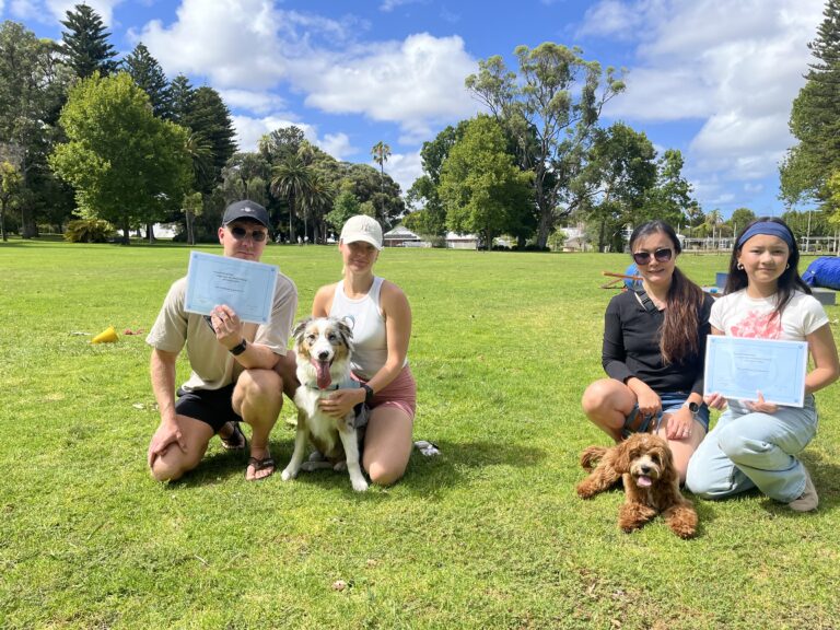 Dog training group photo in a park with dogs and owners, showcasing agility training.