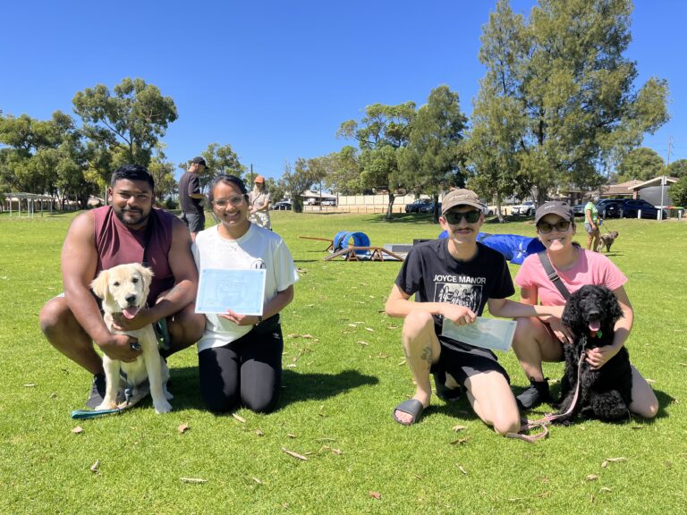 Happy Dog Training Session with clients and their dogs at the park.