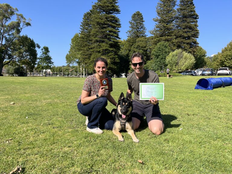 Happy dog training session outdoors with handlers and German Shepherd.