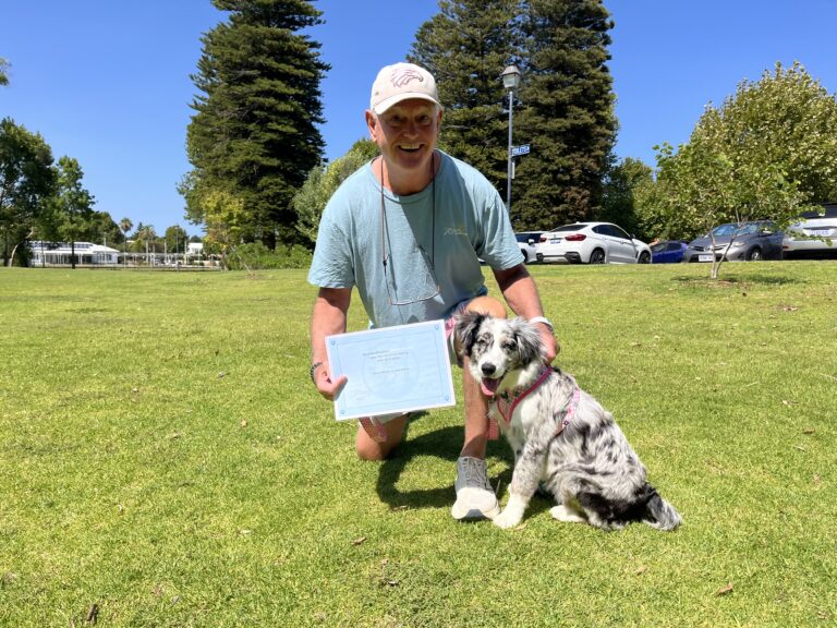 Happy dog trainer with Australian Shepherd after certification in park.