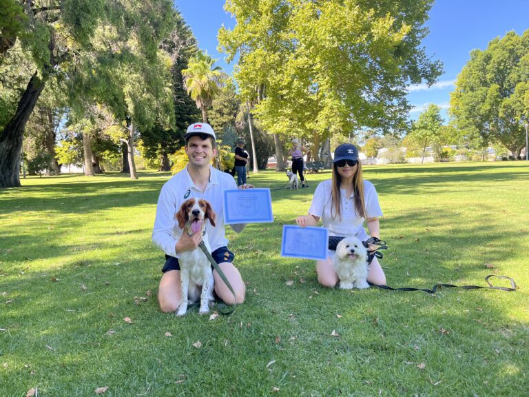 Dog training certification ceremony outdoors with happy owners and their dogs.