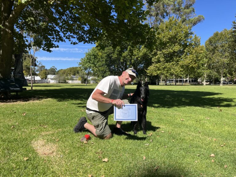 Dog training certification, agility training, obedience, professional dog trainer.