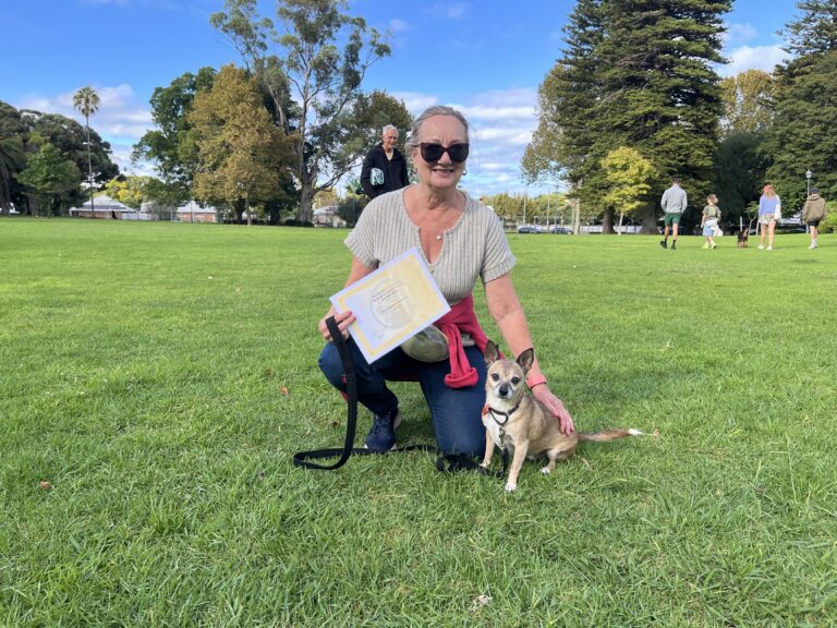 Dog training session outdoors with a woman and her dog in a park.